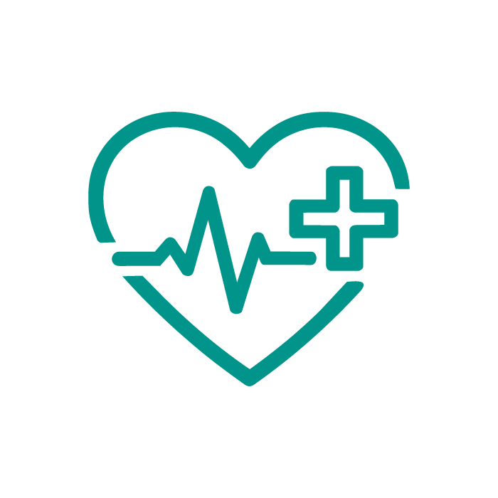 Healthcare icon